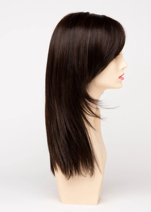 Envy Ava | Lace Front Human Hair/ Synthetic Blend Wig 13 Envy Ava | Lace Front Human Hair/ Synthetic Blend Wig - Image 11