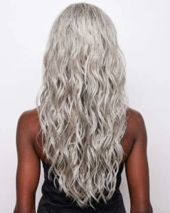 Brooklyn | Lace Front & Monofilament Part Synthetic Wig By Alexander -Gabor Store AX1034 Brooklyn SilverBrown MR B