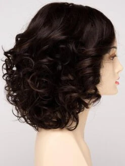 Envy Isabella | Human Hair / Synthetic Blend Lace Front Wig (Basic Cap) -Gabor Store Isabella DBR