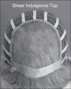 Beguile-Petite/Average | Monofilament Human Hair Wig By Raquel Welch -Gabor Store RW37001PA 4