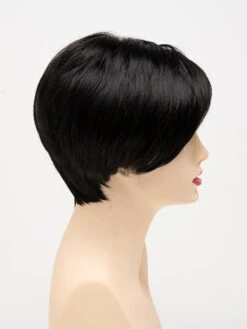 Envy Amy | Synthetic Lace Front Wig (Mono Part) 30 Envy Amy | Synthetic Lace Front Wig (Mono Part) -Gabor Store Resized Amy Black