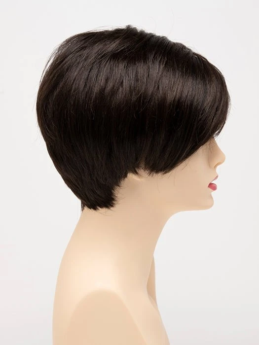 Envy Amy | Synthetic Lace Front Wig (Mono Part) 12 Envy Amy | Synthetic Lace Front Wig (Mono Part) - Image 10