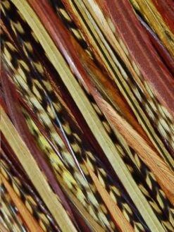 Hair Feathers | Natural Hair 17 Hair Feathers | Natural Hair -Gabor Store hawaiian princess