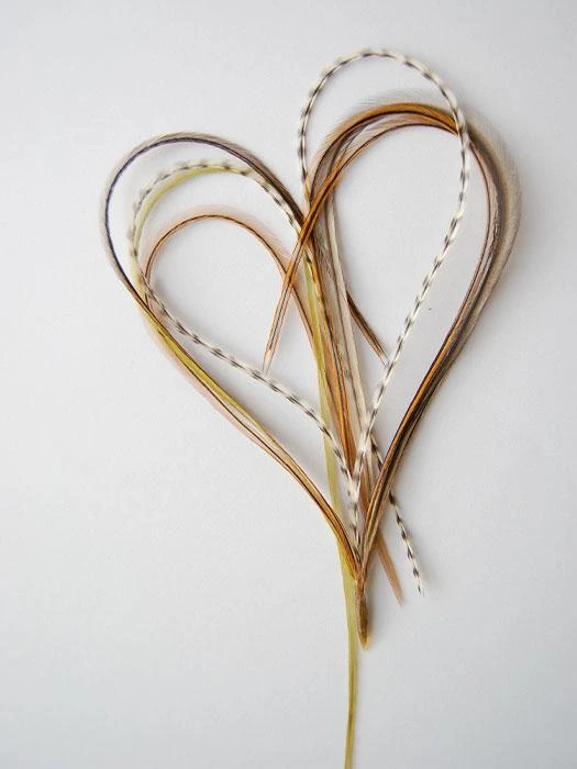 Hair Feathers | Natural Hair 9 Hair Feathers | Natural Hair - Image 7