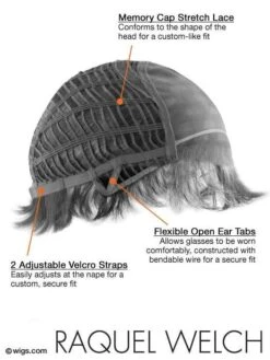 Fanfare | HF Synthetic Lace Front Wig (Mono Top) -Gabor Store rwfanfare 09 lg