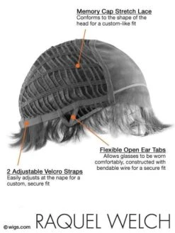 Show Stopper | HF Synthetic Lace Front Wig (Mono Top) 40 Show Stopper | HF Synthetic Lace Front Wig (Mono Top) -Gabor Store rwshowst 16 lg